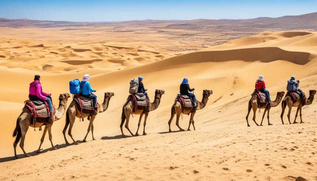 fez desert tours